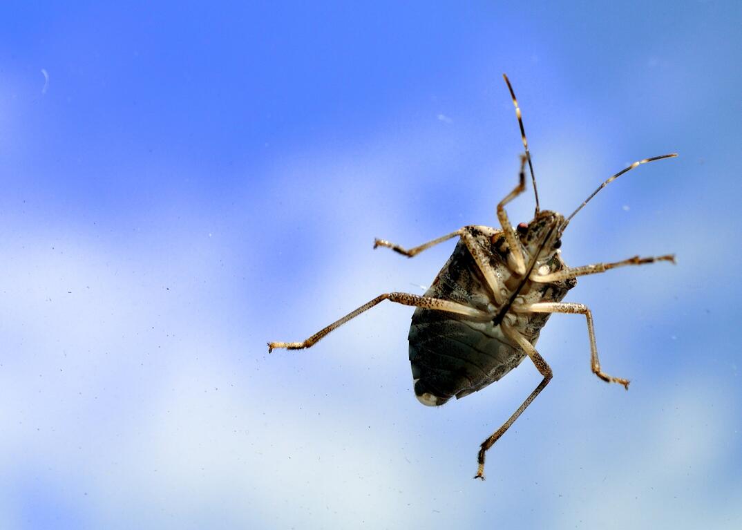 5066243774_cbb54ca1fa_o (1)